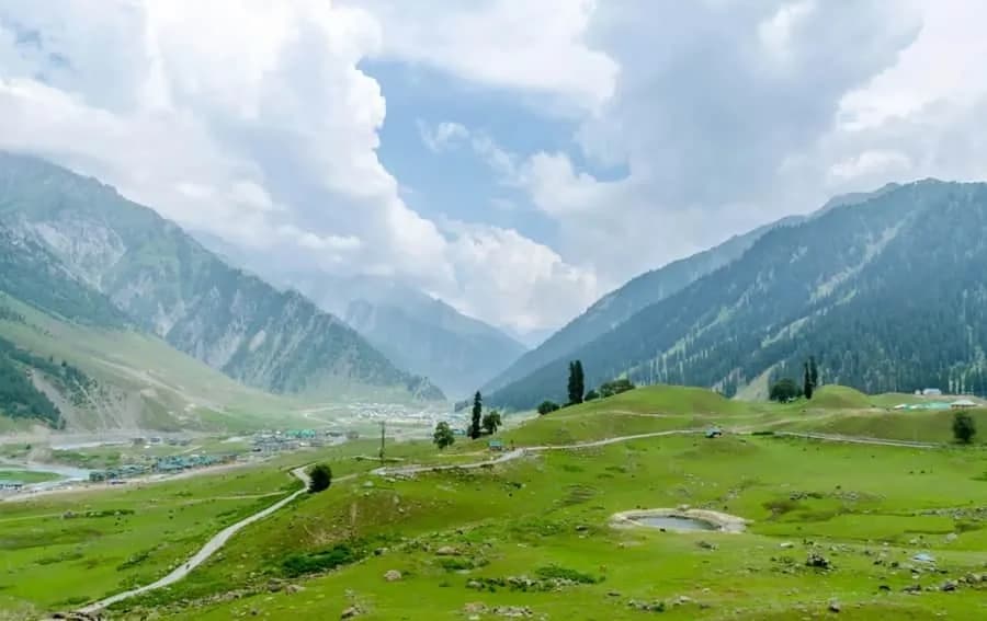 Sonamarg glacier meadow landscape
