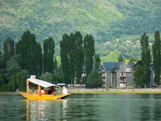 Srinagar cityscape and Dal Lake