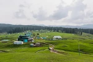 Yusmarg quiet pine meadow