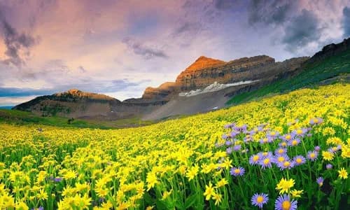 Family trip to Kashmir